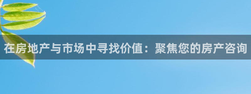 新宝5什么时候上市：在房地产与市场中寻找价值：聚焦您的房产咨