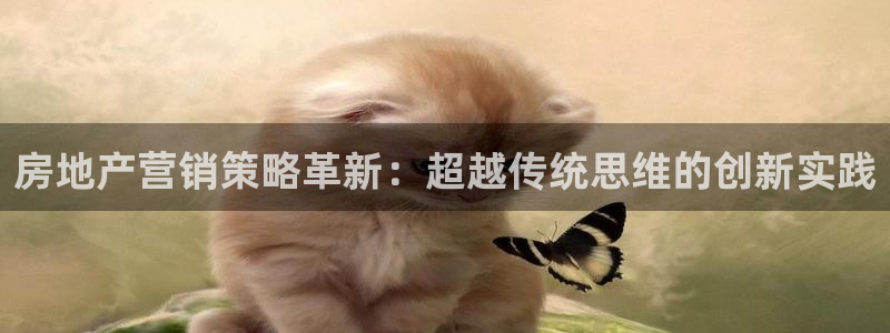 新宝5app手机下载：房地产营销策略革新：超越传统思维的创新