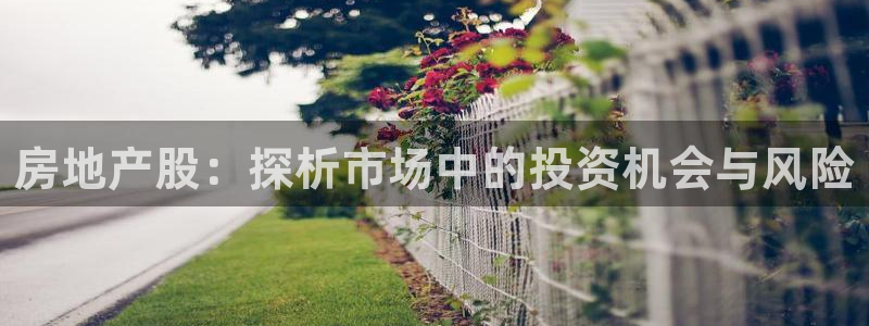 新宝5找找74OOO5：房地产股：探析市场中的投资机会与风险