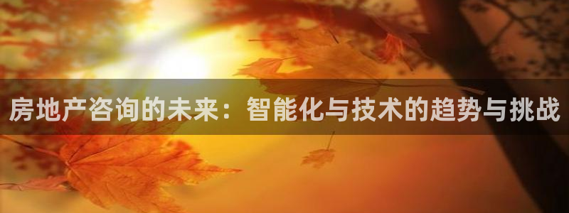 新宝5登录入口网址：房地产咨询的未来：智能化与技术的趋势与挑