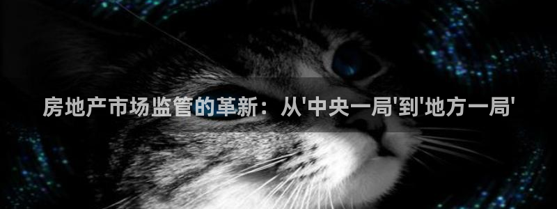 新宝5娱乐然：房地产市场监管的革新：从\'中央一局\'到\'