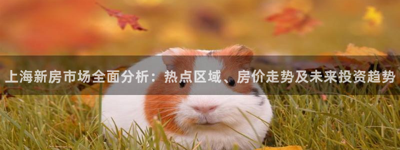 新宝5注册登录：上海新房市场全面分析：热点区域、房价走势及未