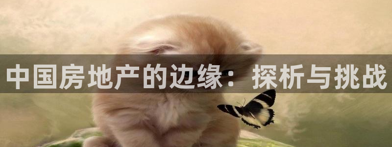 新宝5台卡：中国房地产的边缘：探析与挑战