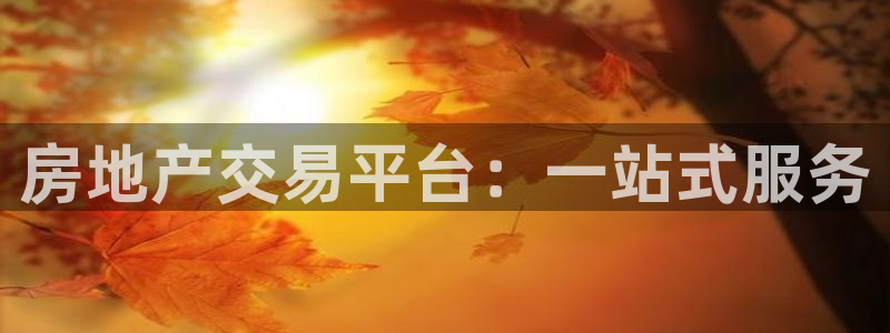 新宝5注册平台：房地产交易平台：一站式服务