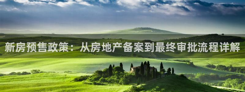 新宝5：新房预售政策：从房地产备案到最终审批流程详解