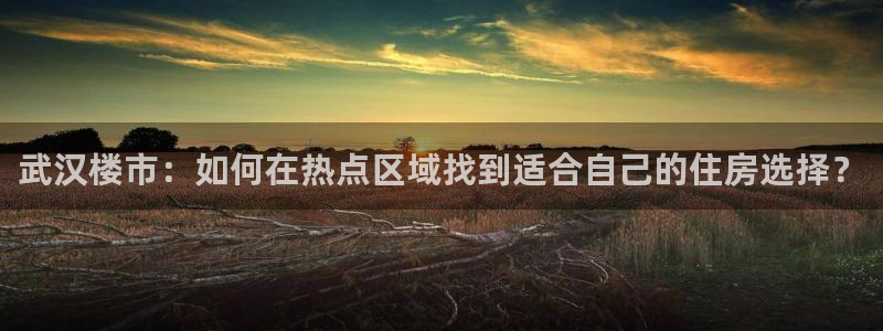 新宝5娱乐同：武汉楼市：如何在热点区域找到适合自己的住房选择