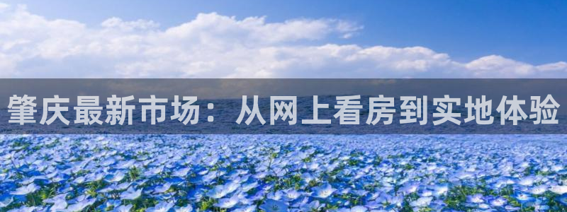 新宝5平台：肇庆最新市场：从网上看房到实地体验