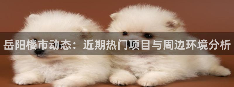 新宝5登录网址：岳阳楼市动态：近期热门项目与周边环境分析