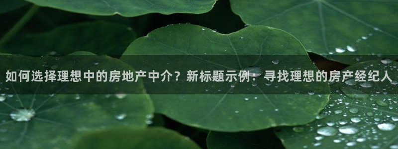 新宝5导师：如何选择理想中的房地产中介？新标题示例：寻找理想