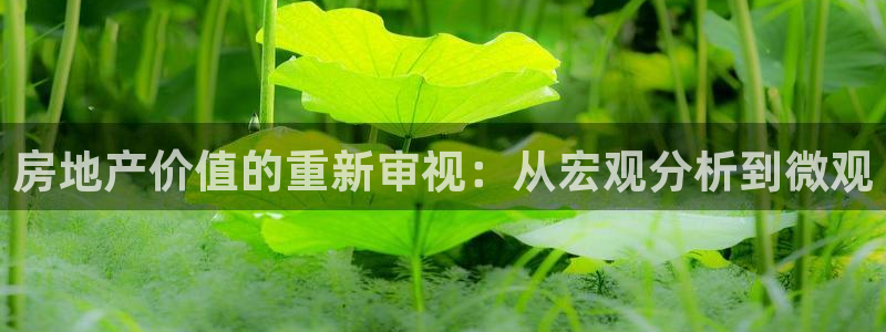 新宝5手机app：房地产价值的重新审视：从宏观分析到微观