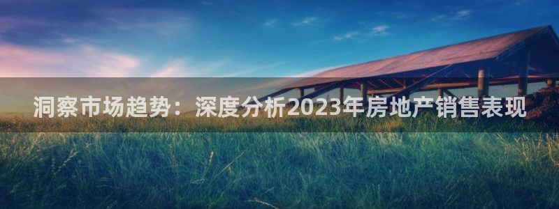 新宝5后：洞察市场趋势：深度分析2023年房地产销售表现