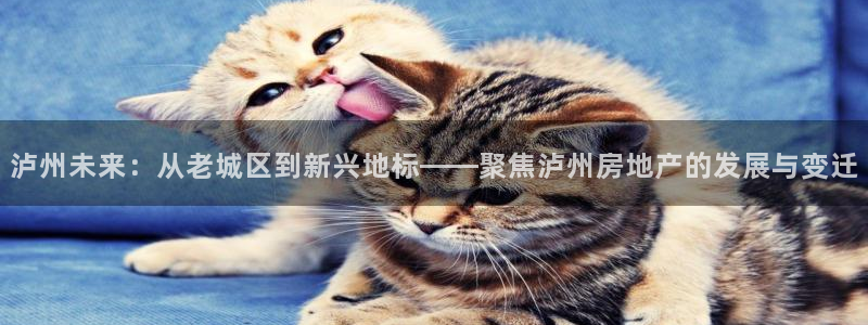 p5r新宝魔：泸州未来：从老城区到新兴地标——聚焦泸州房地产