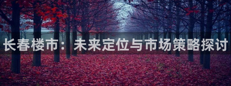 有人知道新宝5么：长春楼市：未来定位与市场策略探讨