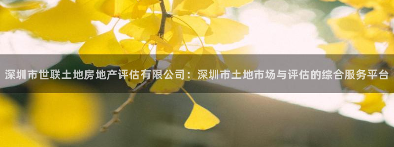 i新宝5：深圳市世联土地房地产评估有限公司：深圳市土地市场与