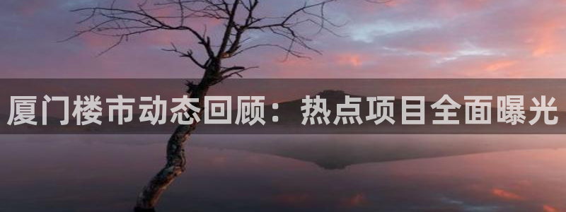 新宝5测速在线：厦门楼市动态回顾：热点项目全面曝光
