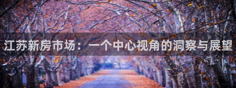 新宝5登陆：江苏新房市场：一个中心视角的洞察与展望