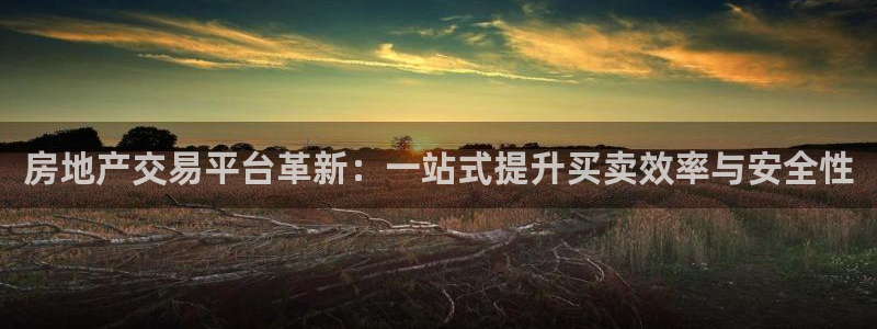 新宝5挂机：房地产交易平台革新：一站式提升买卖效率与安全性