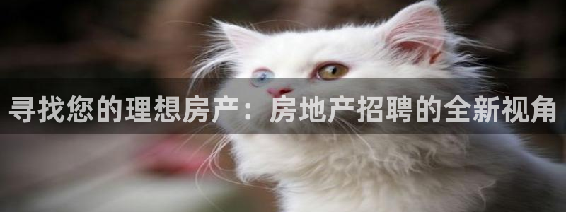 新宝5现在还能玩吗