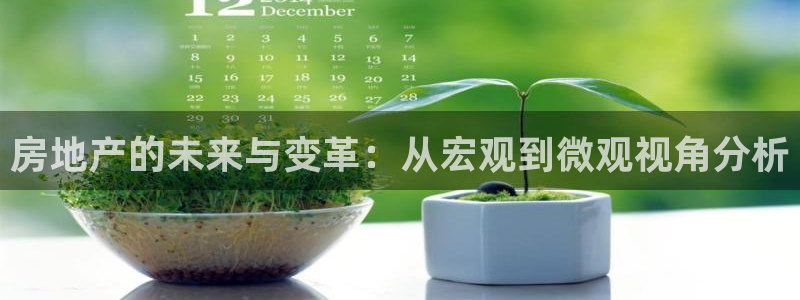 新宝5导师：房地产的未来与变革：从宏观到微观视角分析