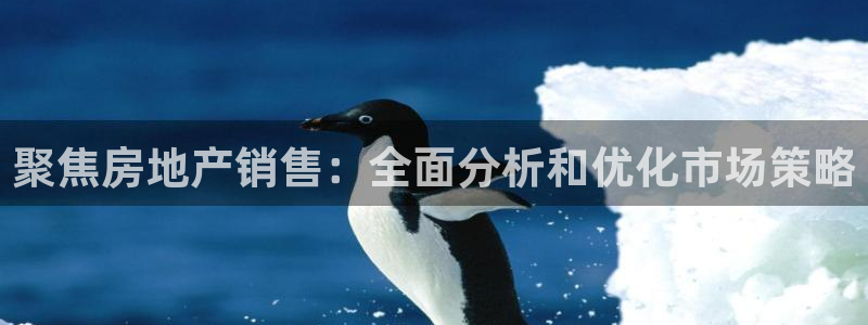 新宝5唯一：聚焦房地产销售：全面分析和优化市场策略