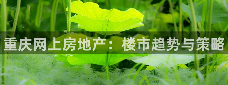 新宝5手机版登录：重庆网上房地产：楼市趋势与策略