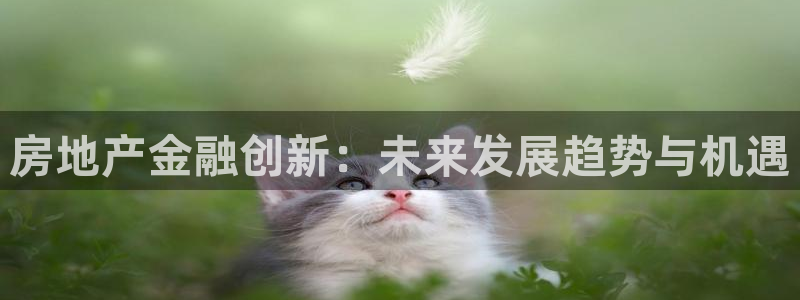 新宝5平台咋样：房地产金融创新：未来发展趋势与机遇
