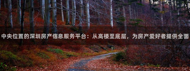 新宝5测速登陆：中央位置的深圳房产信息服务平台：从高楼至底层