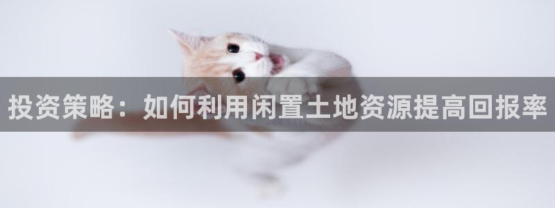 新宝rc_5w：投资策略：如何利用闲置土地资源提高回报率