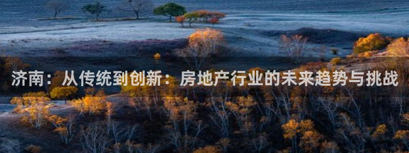 新宝5注册霸：济南：从传统到创新：房地产行业的未来趋势与挑战