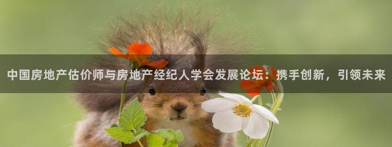 新宝G5：中国房地产估价师与房地产经纪人学会发展论坛：携手创