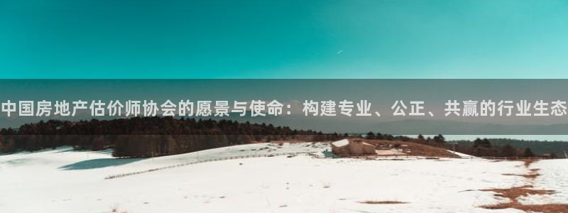 新宝5主管：中国房地产估价师协会的愿景与使命：构建专业、公正
