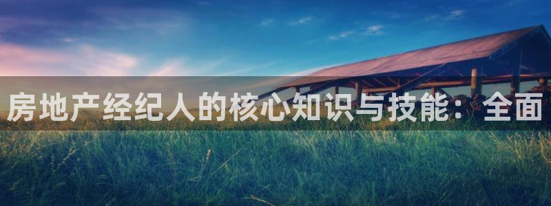 新宝5安卓版：房地产经纪人的核心知识与技能：全面