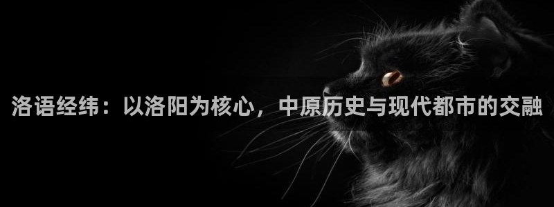 新宝股东张听2 5 5：洛语经纬：以洛阳为核心，中原历史与现