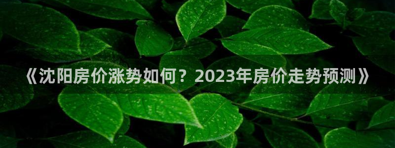 新宝5的网址：《沈阳房价涨势如何？2023年房价走势预测》