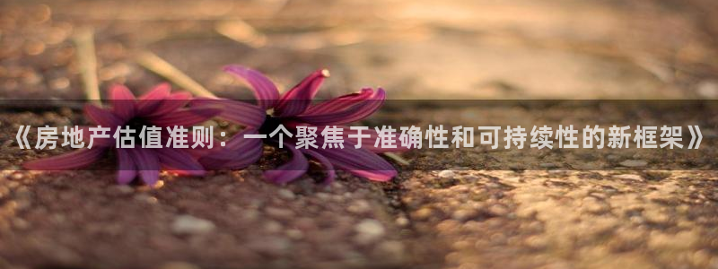 新宝5如何下载：《房地产估值准则：一个聚焦于准确性和可持续性