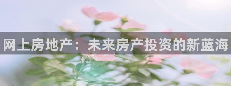 新宝5分彩：网上房地产：未来房产投资的新蓝海