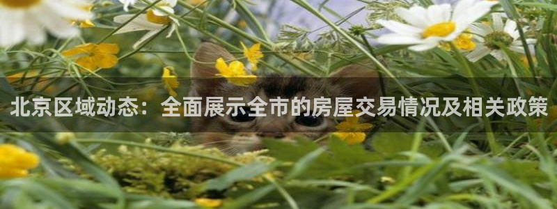 新宝股东张听2 5 5：北京区域动态：全面展示全市的房屋交易
