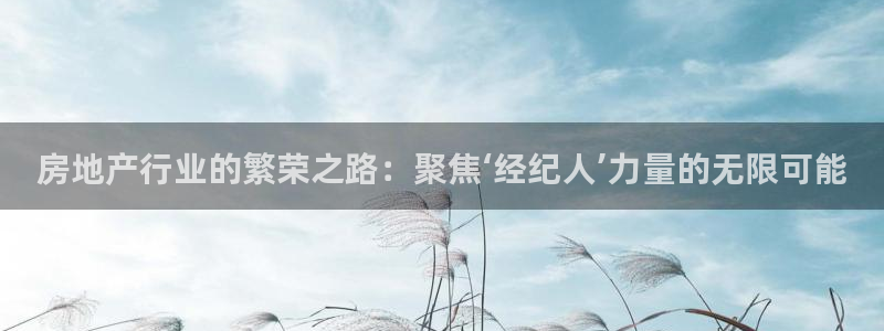 新宝骏rc5W：房地产行业的繁荣之路：聚焦‘经纪人’力量的无