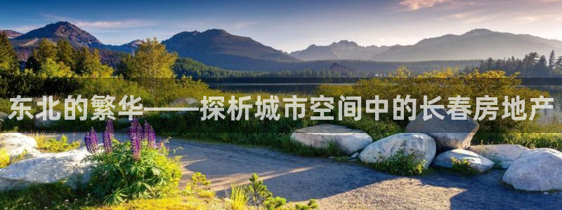 新宝5官网app：东北的繁华——探析城市空间中的长春房地产