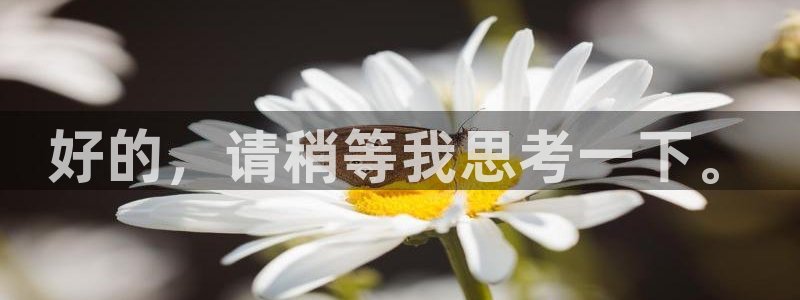 新宝5app手机下载：好的，请稍等我思考一下。