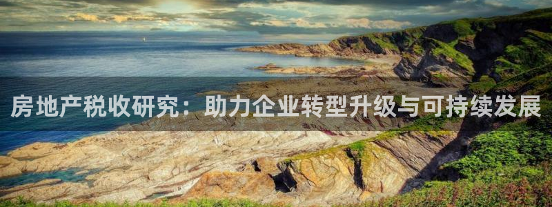新宝5登录：房地产税收研究：助力企业转型升级与可持续发展