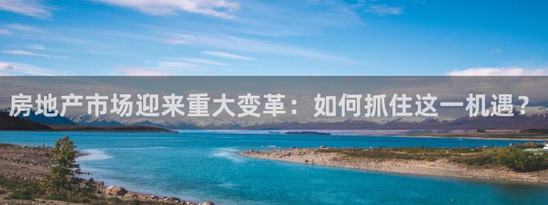新宝5月：房地产市场迎来重大变革：如何抓住这一机遇？