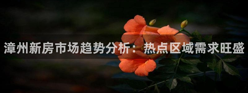 新宝5 代理：漳州新房市场趋势分析：热点区域需求旺盛