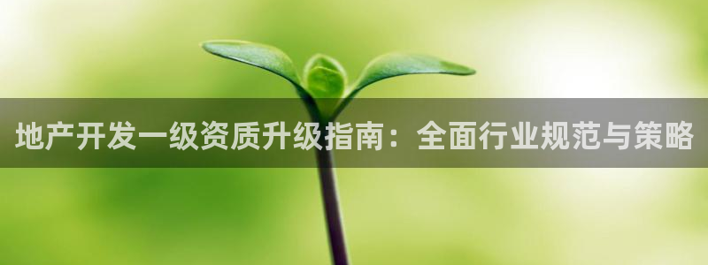 新宝5娱乐主管：地产开发一级资质升级指南：全面行业规范与策略