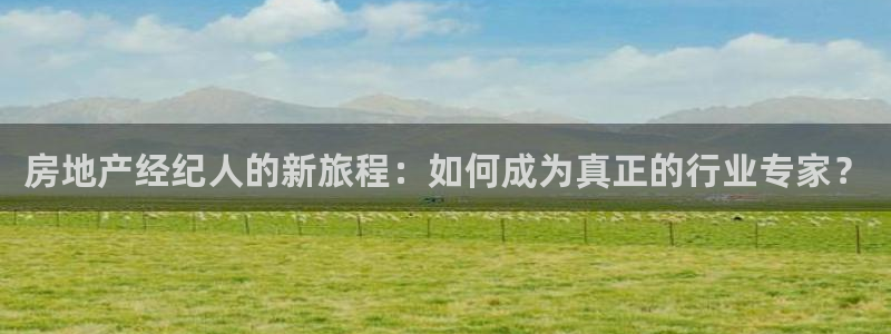 新宝5注册测速登录：房地产经纪人的新旅程：如何成为真正的行业