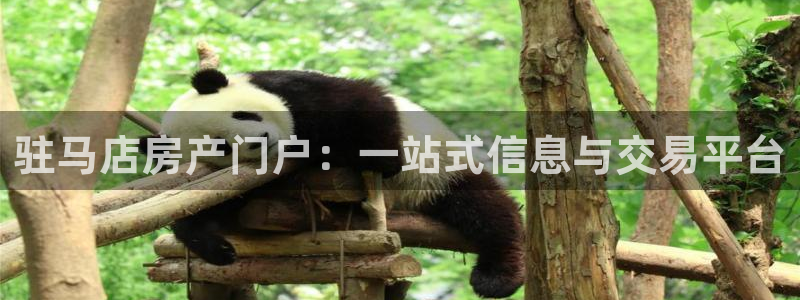 新宝5授权：驻马店房产门户：一站式信息与交易平台