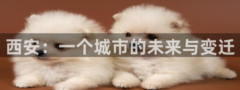 新宝那2O5O5O：西安：一个城市的未来与变迁