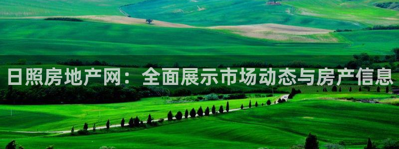 新宝5测：日照房地产网：全面展示市场动态与房产信息