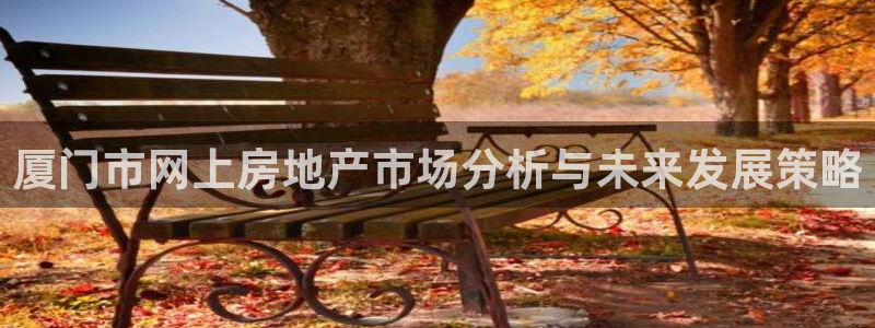 新宝5官方网站：厦门市网上房地产市场分析与未来发展策略