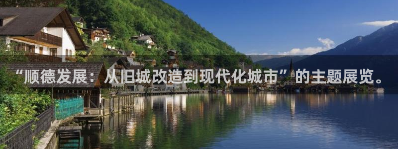 新宝5娱乐登陆：“顺德发展：从旧城改造到现代化城市”的主题展